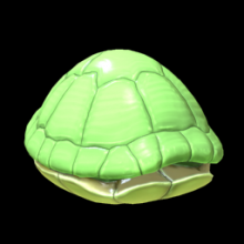 Turtle Shell